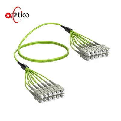 12F SC đến SC Fiber Patch Multimode